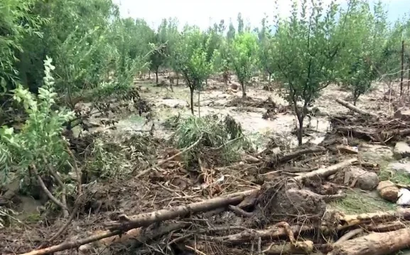 Cloudburst Triggers Flash Floods In Anantnag’s Chittergul, Farmers Seek Compensation For Losses