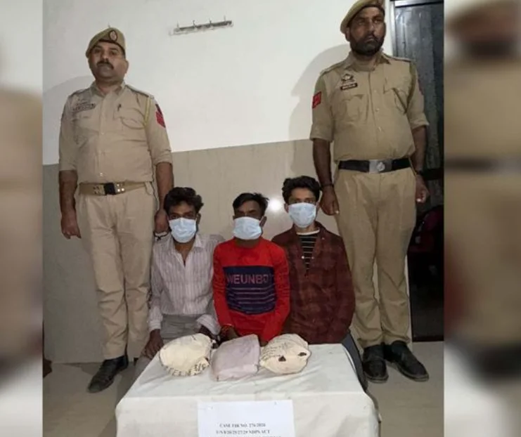 J&K Police Arrest Three Suspected Drug Peddlers, Seize 500 Grams of Ganja in Jammu