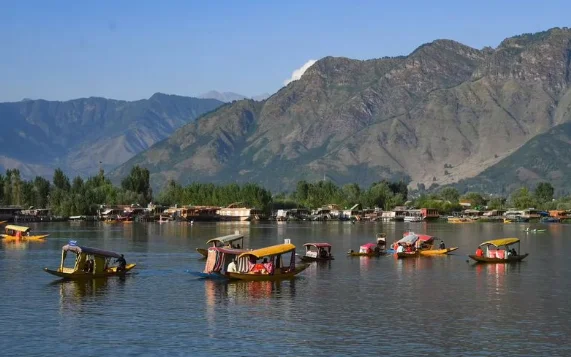 Heavy Metal Contamination Detected In Kashmir Water Chestnuts, Dal Lake Among Most Polluted: Study