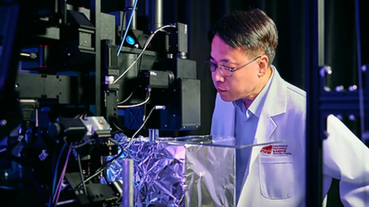 CityUHK neuroscientist crack code on brain multitasking, uncovering neural mechanisms behind cognitive bottlenecks