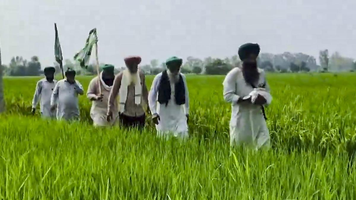 Farmers’ union to mobilise one million ‘swayamsevaks’ to fight trade deals