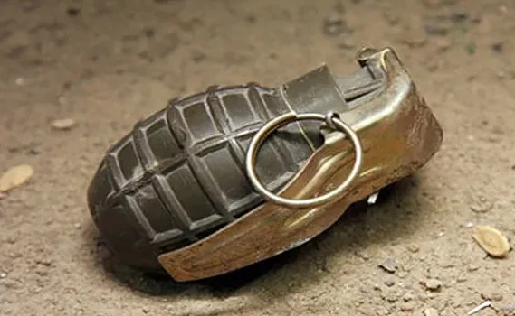 Two Hand Grenades Recovered During Naka Checking In Baramulla, Man Held