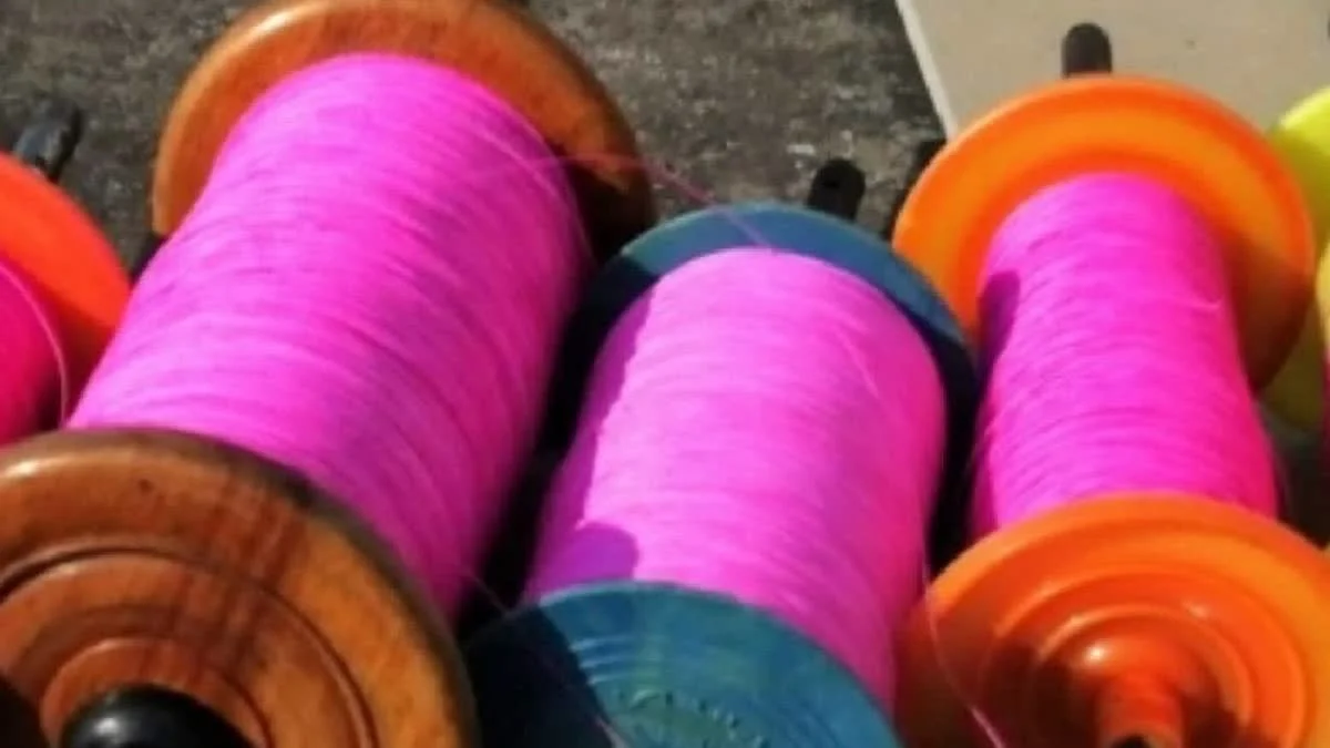 Ex-Serviceman Killed by Chinese Kite String