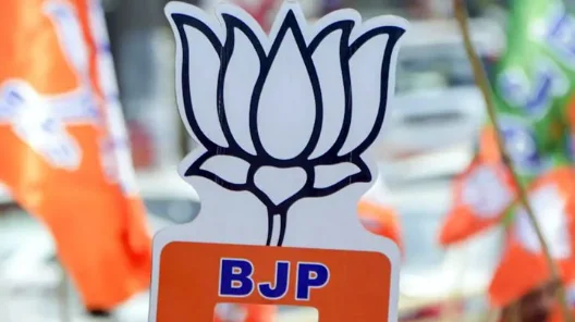 BJP Alleges Congress Paid Influencers To Mobilise Crowd For Rahul Gandhi Event