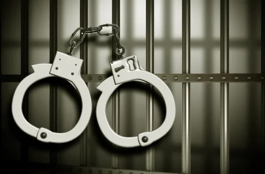 Drug Peddler Jailed Under PIT-NDPS Act In J&K’s Kathua