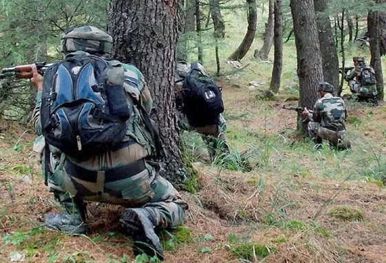 Army Eliminates Terrorist In Forest Area Of J&K’s Budgam